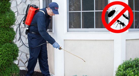 Şavşat Bit İlaçlama böcek ilaçlama ve haşere kontrolü — ilaclama-tr.com